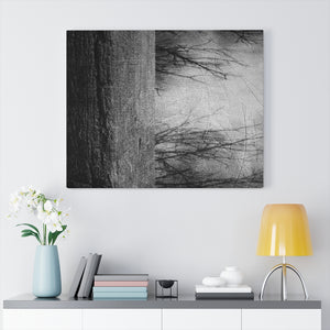 Atra 30 x 24 Gallery Wrapped Canvas