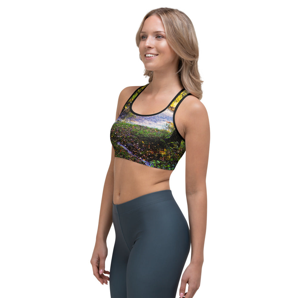 Beaver River Sports bra